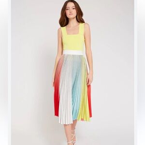 Alice & Olivia - Arden Pleated Midi Skirt in Multi